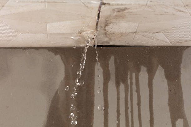Professional Water Extraction technician working in Woodmere, LA